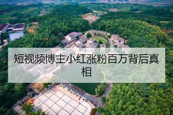 短视频博主小红涨粉百万背后真相