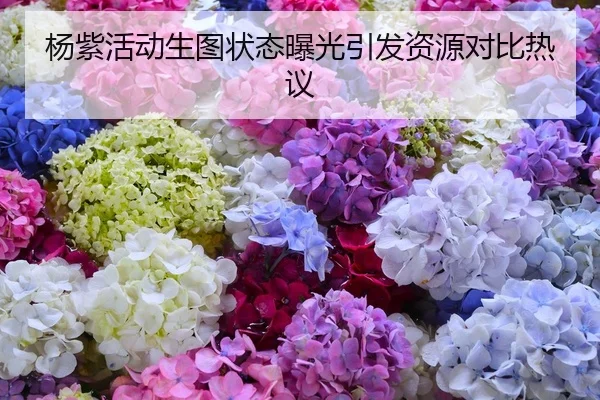 杨紫活动生图状态曝光引发资源对比热议