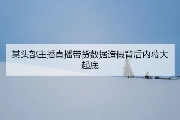 mou-tou-bu-zhu-bo-zhi-bo-dai-huo-shu-ju-zao-jia-bei-hou-nei-mu-da-qi-di-2-994.jpg